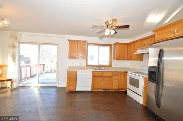 961 113th Ave NE, Blaine, MN 55434 - kitchen with white appliances, under cabinet range hood, light countertops, ceiling fan, and dark wood-style flooring