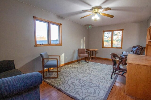 home office with light hardwood / wood-style flooring, plenty of natural light, and ceiling fan