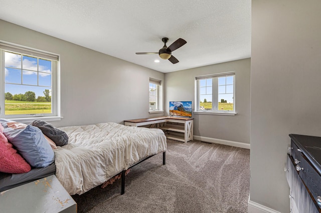 20102 Fortune Creek Ct, Faribault, MN 55021 - photo 34