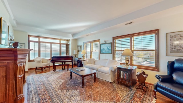 living room with wood-type flooring and plenty of natural light