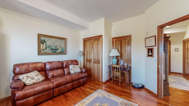 living room featuring hardwood / wood-style floors