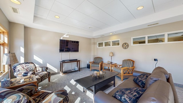 carpeted living room featuring a wealth of natural light and a tray ceiling