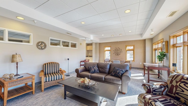 carpeted living room with a raised ceiling and a wealth of natural light