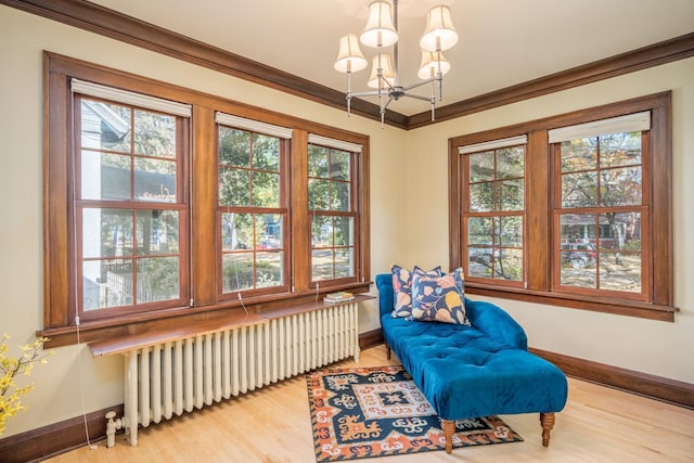 living area featuring a chandelier, wood-type flooring, radiator, and crown molding