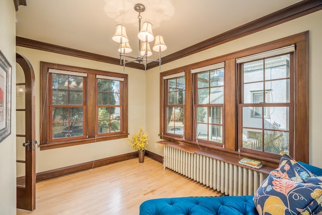 sitting room featuring light hardwood / wood-style floors, a healthy amount of sunlight, radiator, and an inviting chandelier