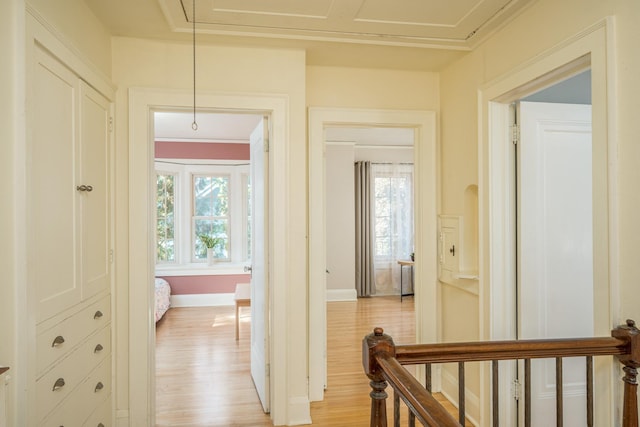 hallway featuring crown molding, plenty of natural light, and light wood-type flooring