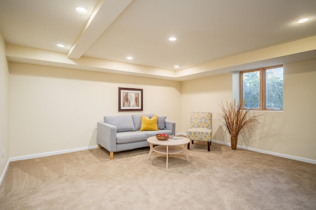 living area with light colored carpet