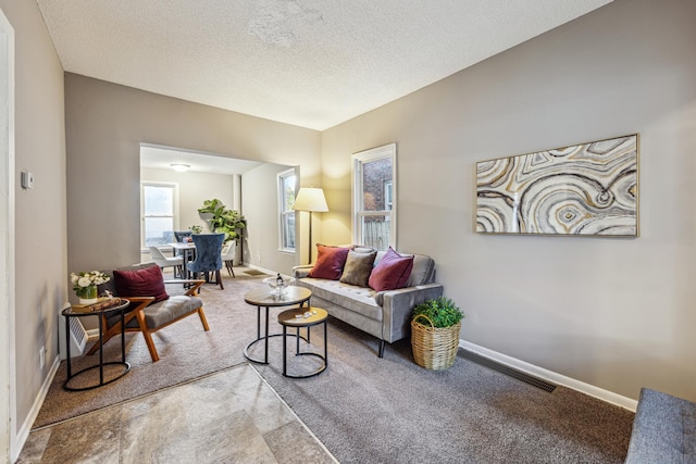 living room with carpet and a textured ceiling