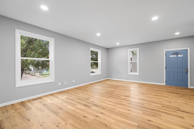 interior space featuring light hardwood / wood-style floors and plenty of natural light