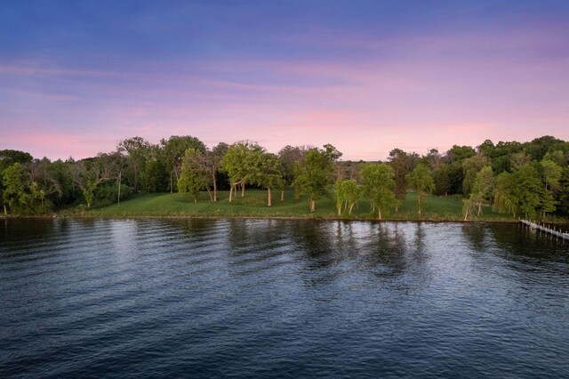 555 Bushaway Rd, Wayzata, MN 55391 - water view featuring a forest