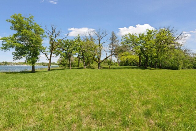 555 Bushaway Rd, Wayzata, MN 55391 - view of yard featuring a water view