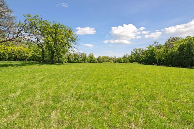 555 Bushaway Rd, Wayzata, MN 55391 - view of grassy yard featuring a wooded view