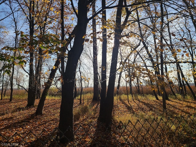 view of local wilderness