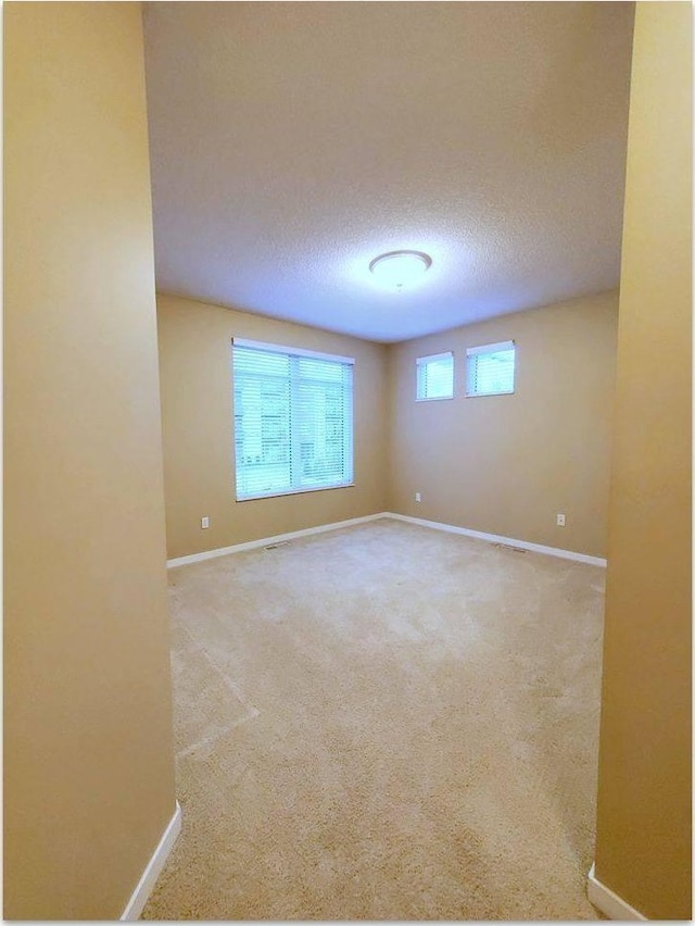 unfurnished room with light carpet, a textured ceiling, and plenty of natural light