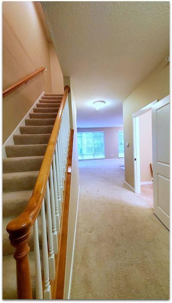 stairs with a textured ceiling and carpet