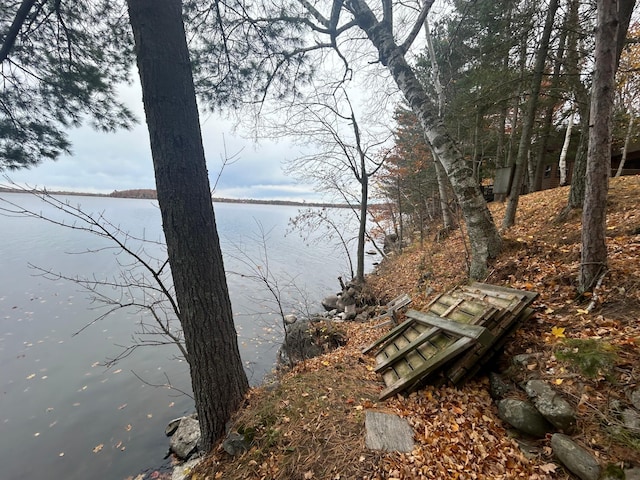 property view of water