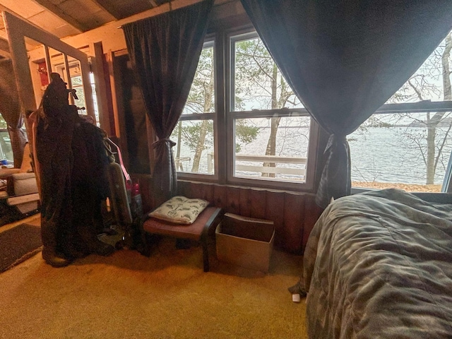 carpeted bedroom with a water view