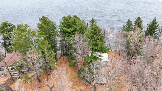 bird's eye view featuring a water view