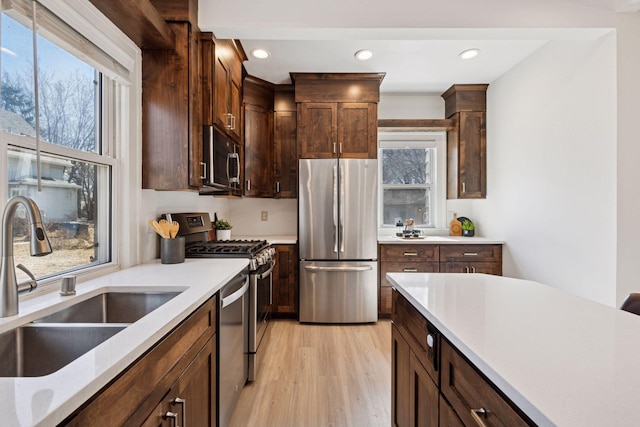 kitchen with a sink, light countertops, dark brown cabinets, appliances with stainless steel finishes, and light wood-type flooring