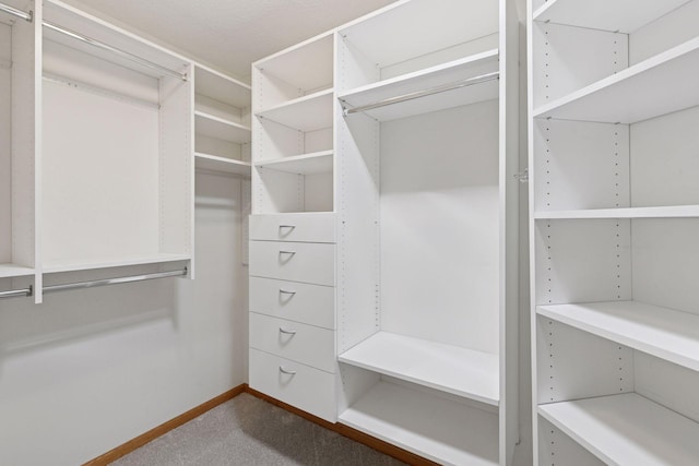 spacious closet with dark colored carpet
