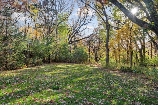 view of yard featuring a wooded view