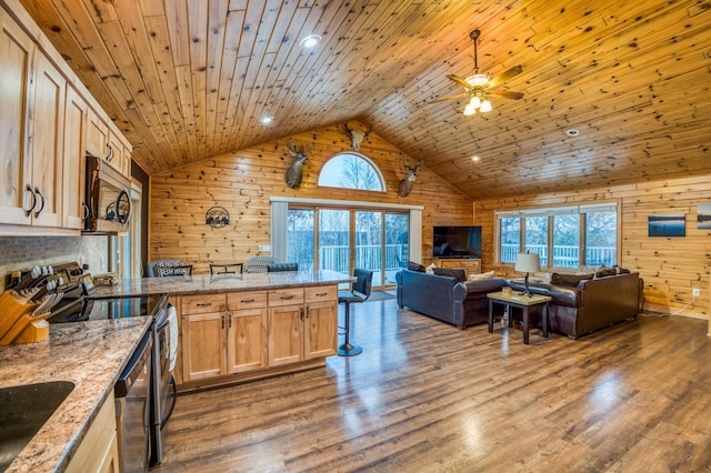 kitchen with appliances with stainless steel finishes, plenty of natural light, and wooden ceiling