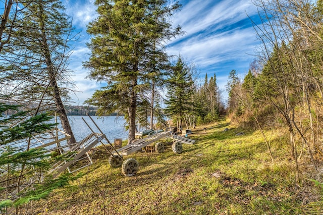 view of yard featuring a dock and a water view