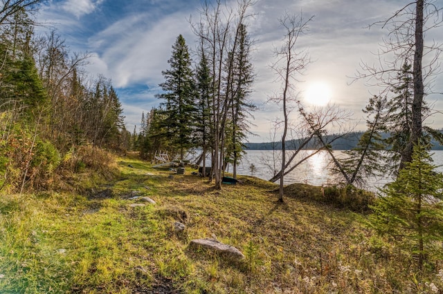 view of local wilderness with a water view