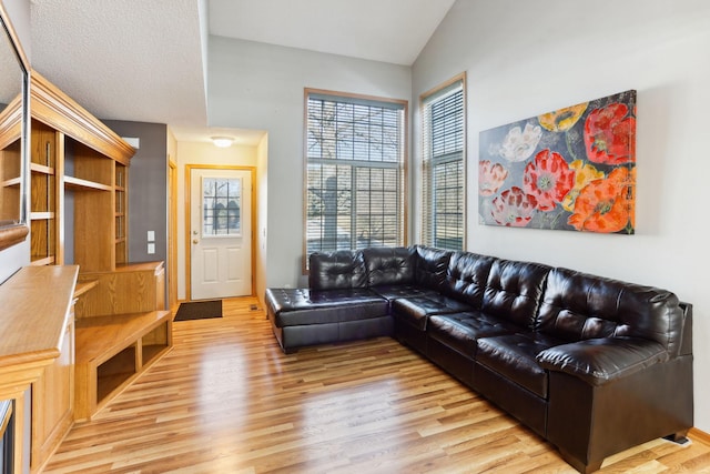 living area featuring lofted ceiling and wood finished floors