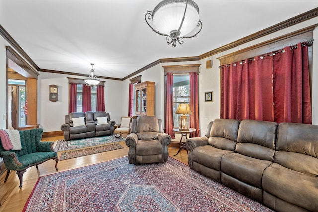 living room with ornamental molding and hardwood / wood-style flooring