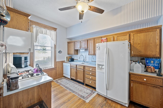 kitchen featuring ceiling fan, a textured ceiling, light hardwood / wood-style floors, sink, and white appliances