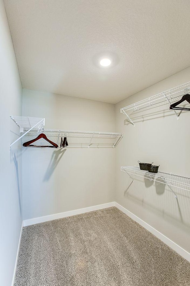 walk in closet with carpet flooring