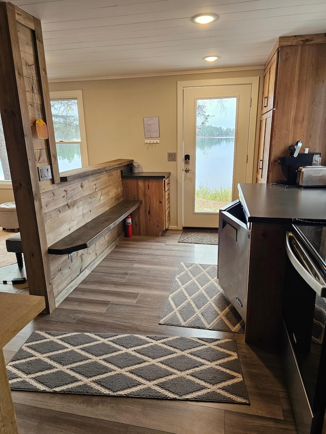 kitchen featuring a water view, stainless steel range with electric stovetop, and wood-type flooring