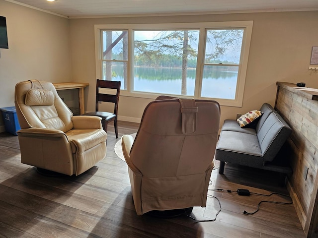 living room featuring a water view, a healthy amount of sunlight, and wood-type flooring