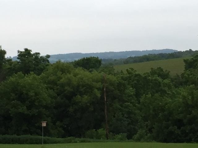 view of mountain feature