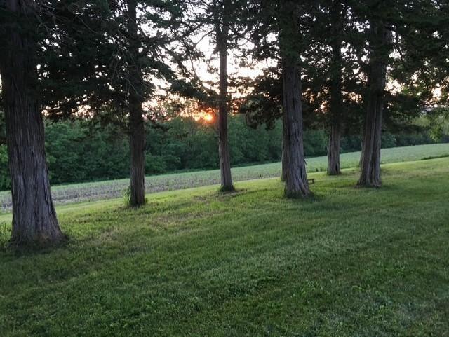 view of yard at dusk