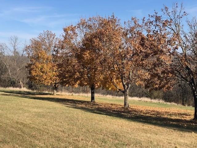 22735 Hickory Rd, Lanesboro, MN 55949 - view of grassy yard