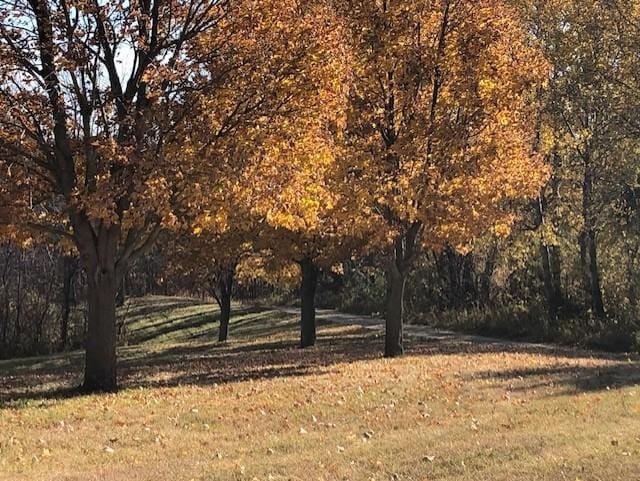 22735 Hickory Rd, Lanesboro, MN 55949 - view of local wilderness