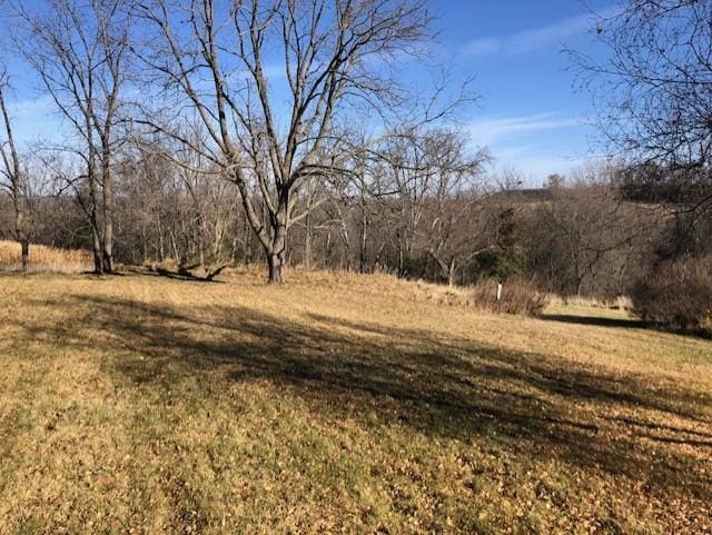 22735 Hickory Rd, Lanesboro, MN 55949 - view of green lawn