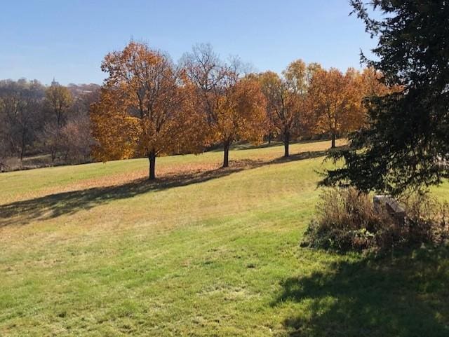 22735 Hickory Rd, Lanesboro, MN 55949 - view of green lawn