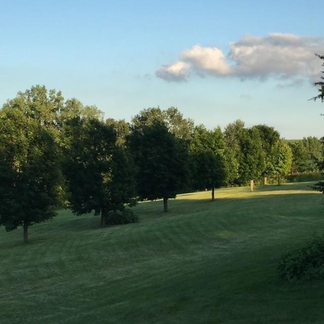 22735 Hickory Rd, Lanesboro, MN 55949 - view of home's community with a lawn
