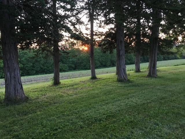 22735 Hickory Rd, Lanesboro, MN 55949 - view of grassy yard