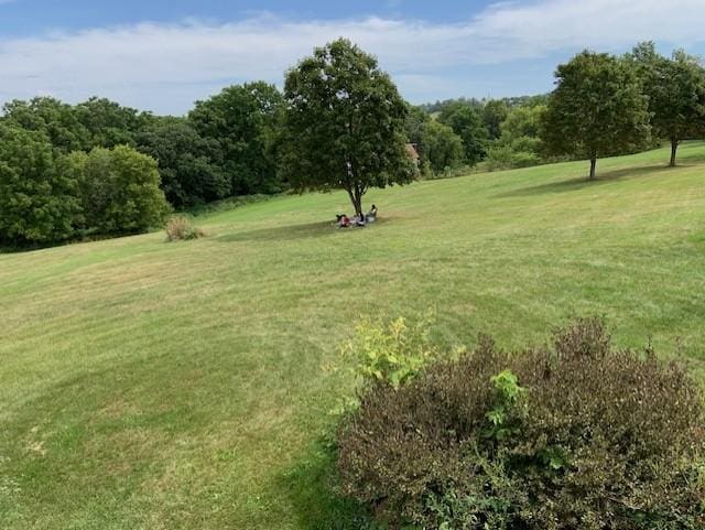 22735 Hickory Rd, Lanesboro, MN 55949 - view of green lawn