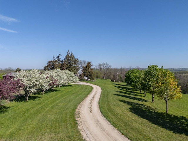 22735 Hickory Rd, Lanesboro, MN 55949 - view of home's community with a lawn and driveway