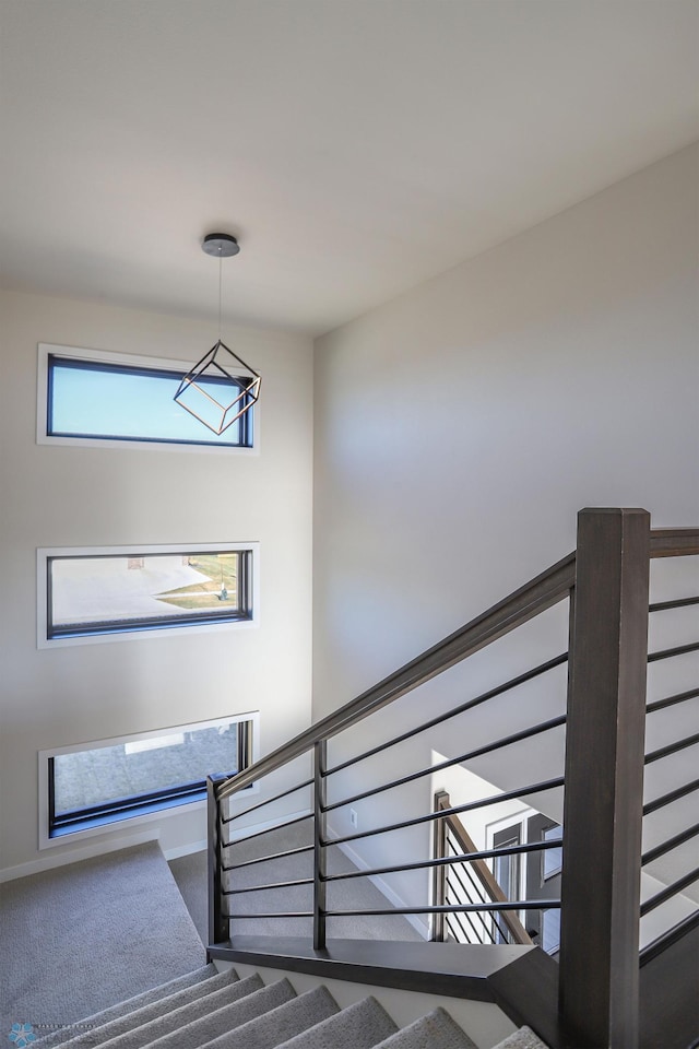 staircase featuring carpet