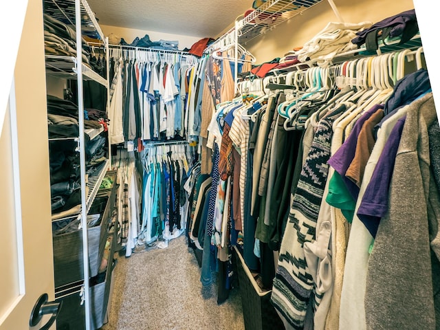 walk in closet with carpet floors