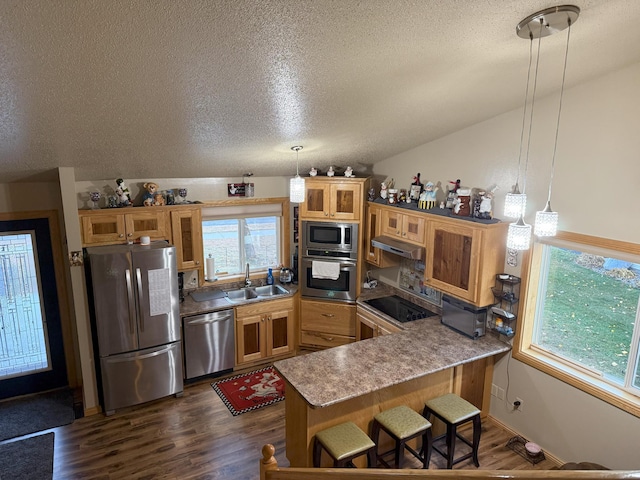 kitchen with stainless steel appliances, a textured ceiling, vaulted ceiling, and pendant lighting