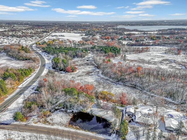 drone / aerial view