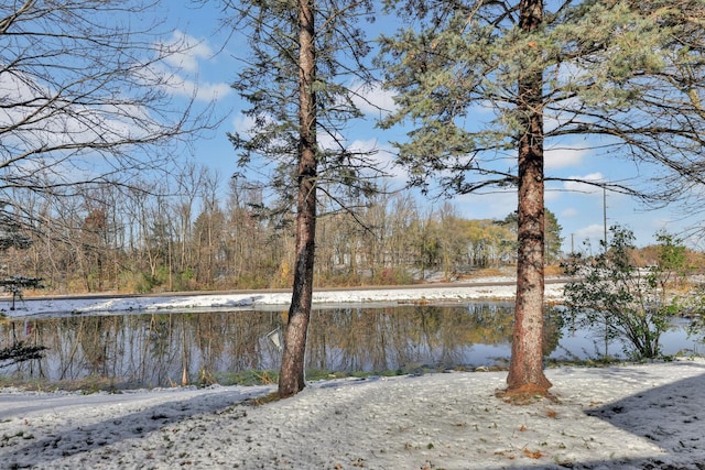 view of water feature