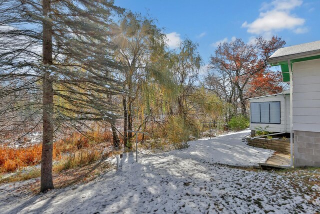 view of snowy yard